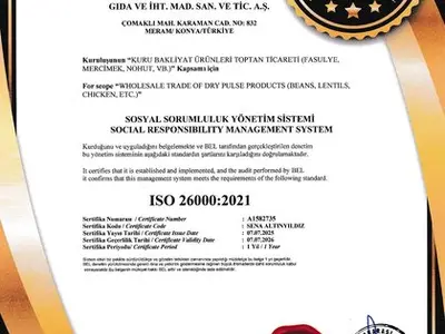 ISO 26000:2021 · Sosyal Sorumluluk Yönetim Sistemi